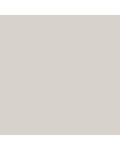 Cedral Board gevelpaneel 122x250cm C01 Wit