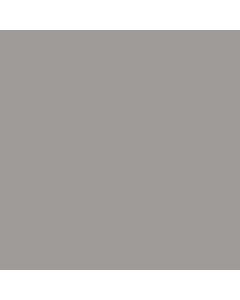 Cedral Board gevelpaneel 122x250cm C05 Platinagrijs