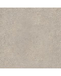 Coeck Sedimento Grigio 100x100x2