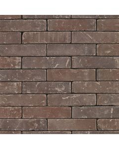 Terca Trendline Atlas UDF 200x65x65