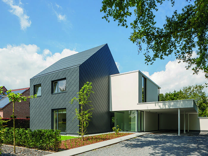 André Celis Dak en gevel - Leien