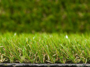 namgrass-green-bliss