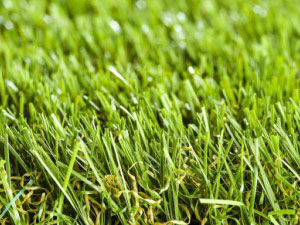 namgrass-green-fusion