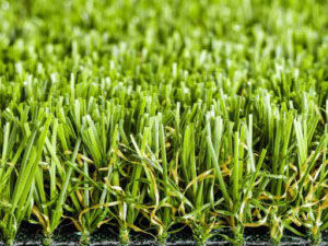 namgrass-green-limosa