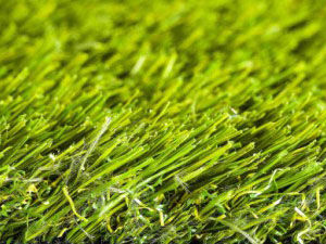 namgrass-green-motion
